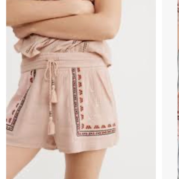 Abercrombie & Fitch Pants - ABERCROMBIE & FITCH Embroider Loose Shorts | Large